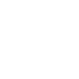 PSA Video